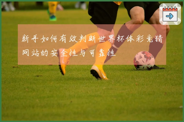 新手如何有效判断世界杯体彩竞猜网站的安全性与可靠性