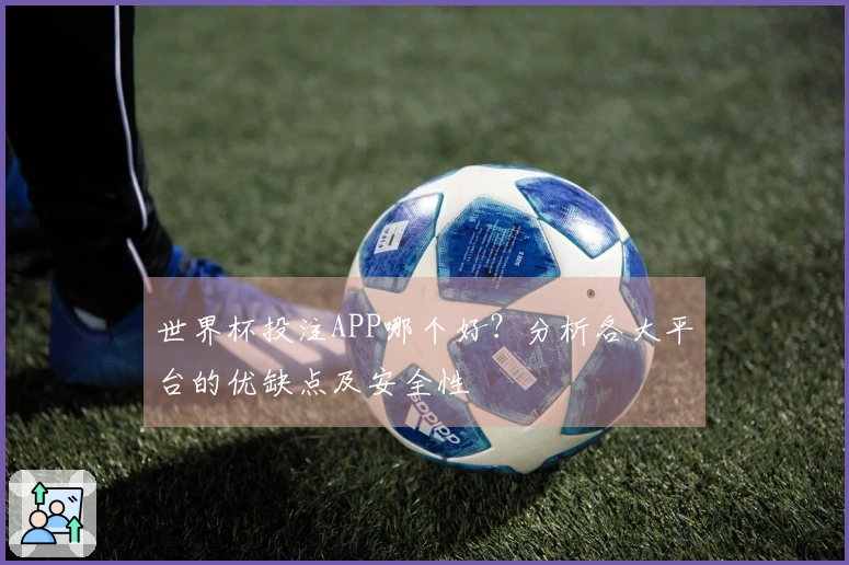 世界杯投注APP哪个好？分析各大平台的优缺点及安全性