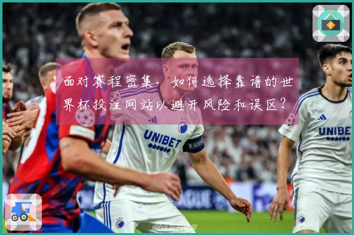 面对赛程密集，如何选择靠谱的世界杯投注网站以避开风险和误区？