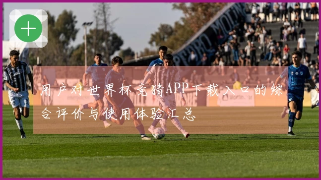 用户对世界杯竞猜APP下载入口的综合评价与使用体验汇总