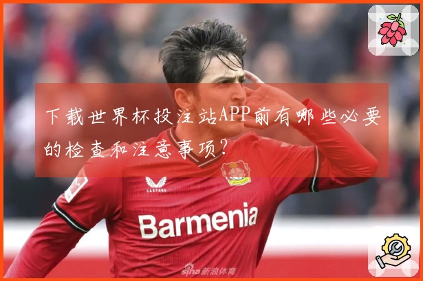 下载世界杯投注站APP前有哪些必要的检查和注意事项？