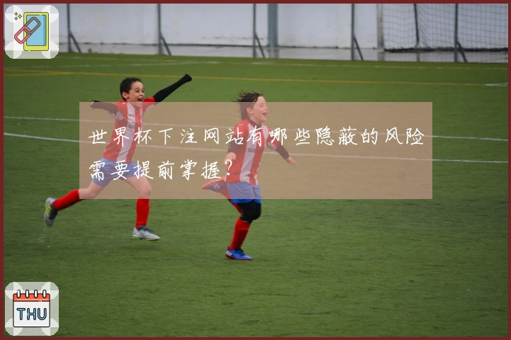 世界杯下注网站有哪些隐蔽的风险需要提前掌握？