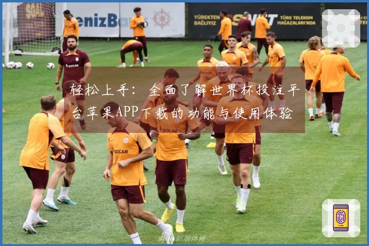 轻松上手：全面了解世界杯投注平台苹果APP下载的功能与使用体验