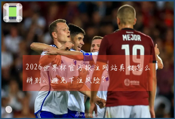 2026世界杯官方投注网站真假怎么辨别，避免下注风险？