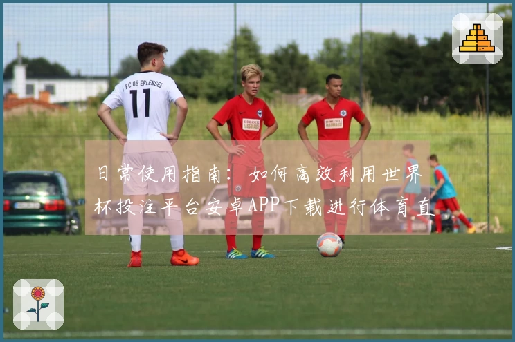 日常使用指南：如何高效利用世界杯投注平台安卓APP下载进行体育直播观看