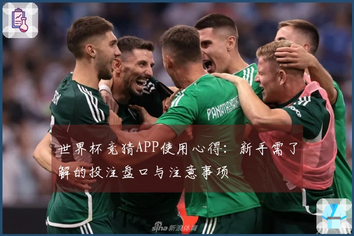 世界杯竞猜APP使用心得：新手需了解的投注盘口与注意事项