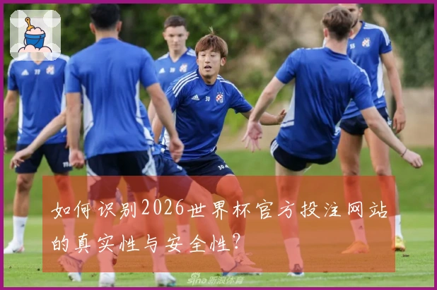 如何识别2026世界杯官方投注网站的真实性与安全性？