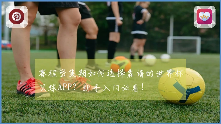 赛程密集期如何选择靠谱的世界杯买球APP？新手入门必看！