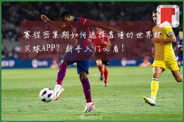 赛程密集期如何选择靠谱的世界杯买球APP？新手入门必看！