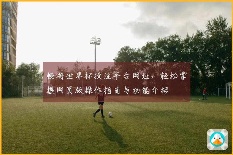畅游世界杯投注平台网址，轻松掌握网页版操作指南与功能介绍