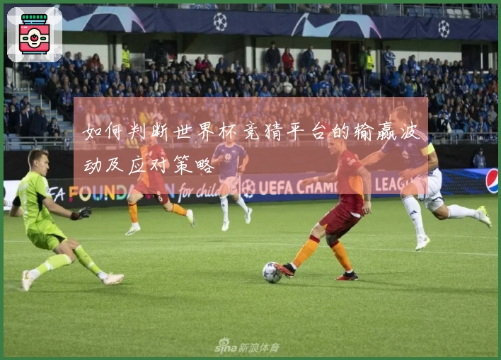 如何判断世界杯竞猜平台的输赢波动及应对策略