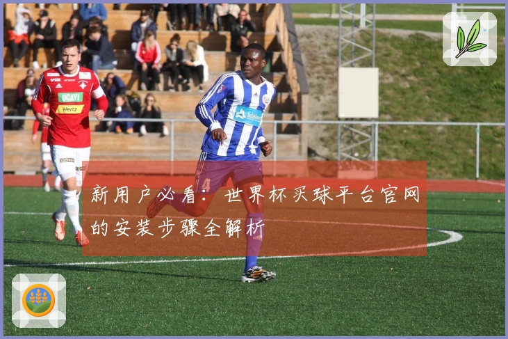 新用户必看：世界杯买球平台官网的安装步骤全解析