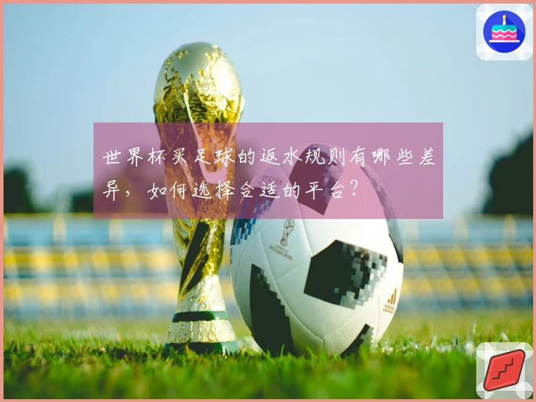 世界杯买足球的返水规则有哪些差异，如何选择合适的平台？