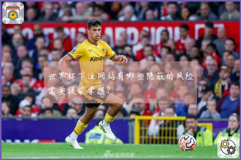 世界杯下注网站有哪些隐蔽的风险需要提前掌握?