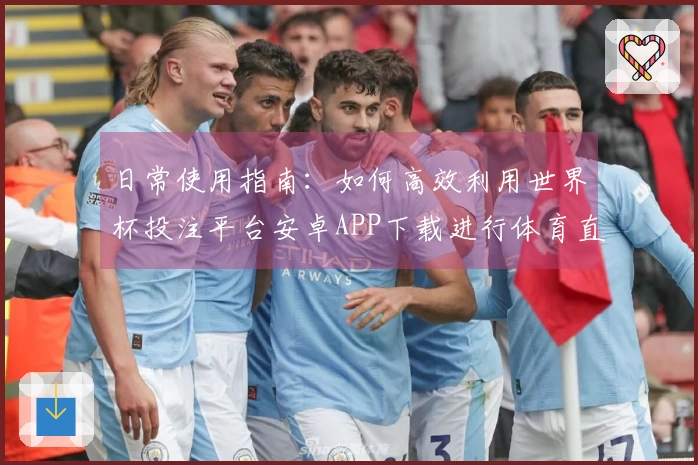 日常使用指南：如何高效利用世界杯投注平台安卓APP下载进行体育直播观看