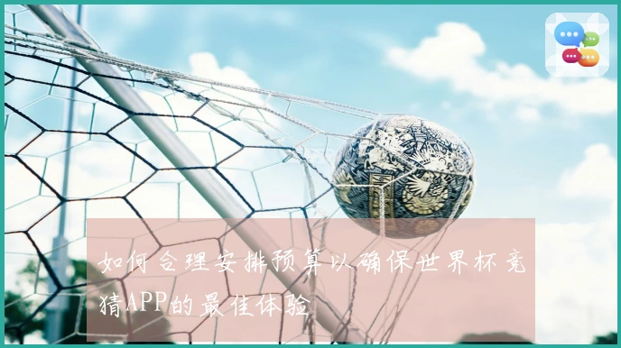 如何合理安排预算以确保世界杯竞猜APP的最佳体验