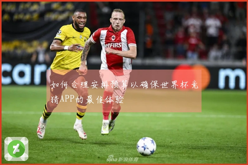 如何合理安排预算以确保世界杯竞猜APP的最佳体验