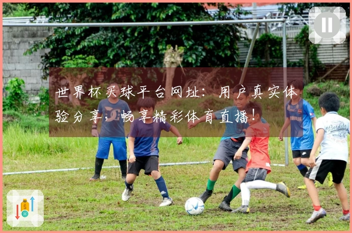 世界杯买球平台网址：用户真实体验分享，畅享精彩体育直播！