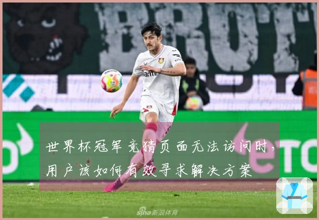 世界杯冠军竞猜页面无法访问时，用户该如何有效寻求解决方案