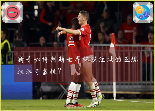 新手如何判断世界杯投注站的正规性和可靠性？
