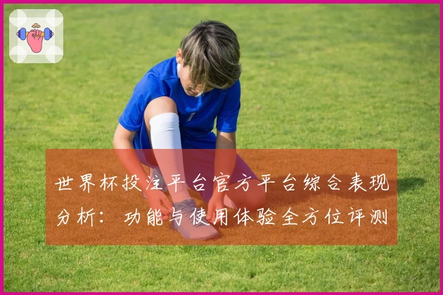 世界杯投注平台官方平台综合表现分析：功能与使用体验全方位评测