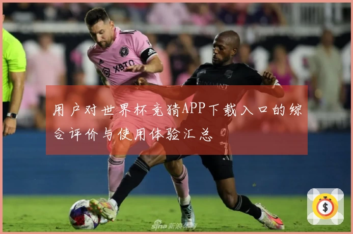 用户对世界杯竞猜APP下载入口的综合评价与使用体验汇总